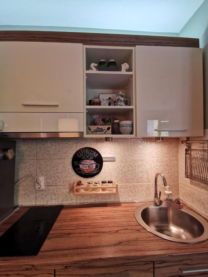 Nest Apartment Zemun ベオグラード エクステリア 写真