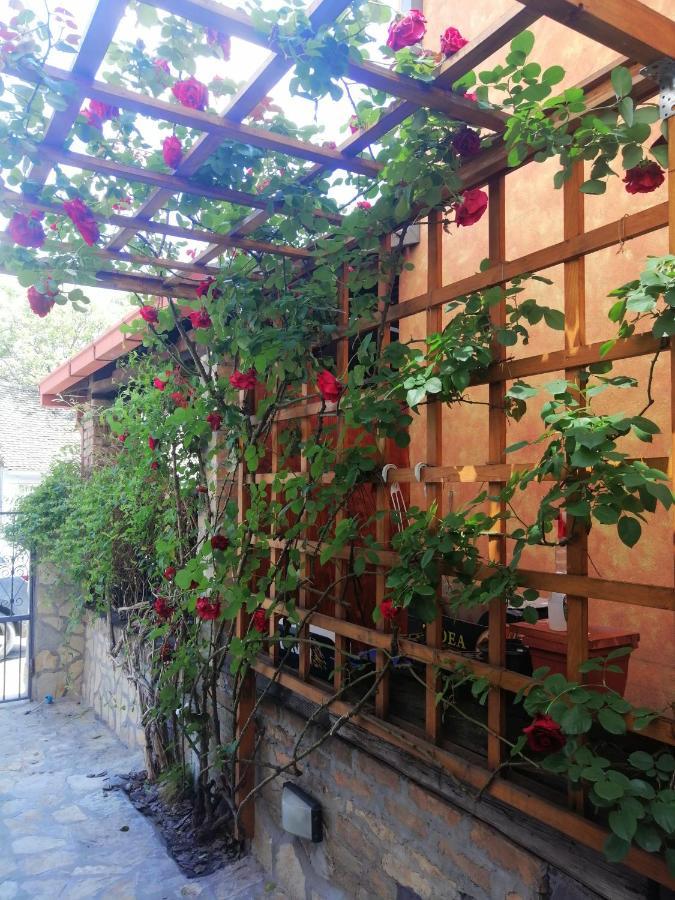 ホテル Nest ベオグラード エクステリア 写真